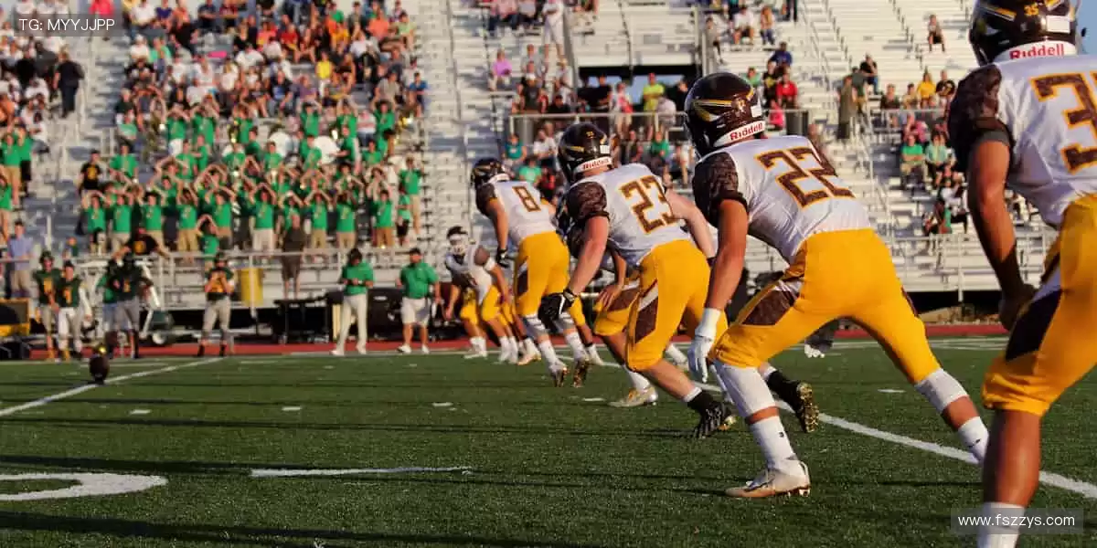 🏋️♂️ 热爱不止,装备升级!💪